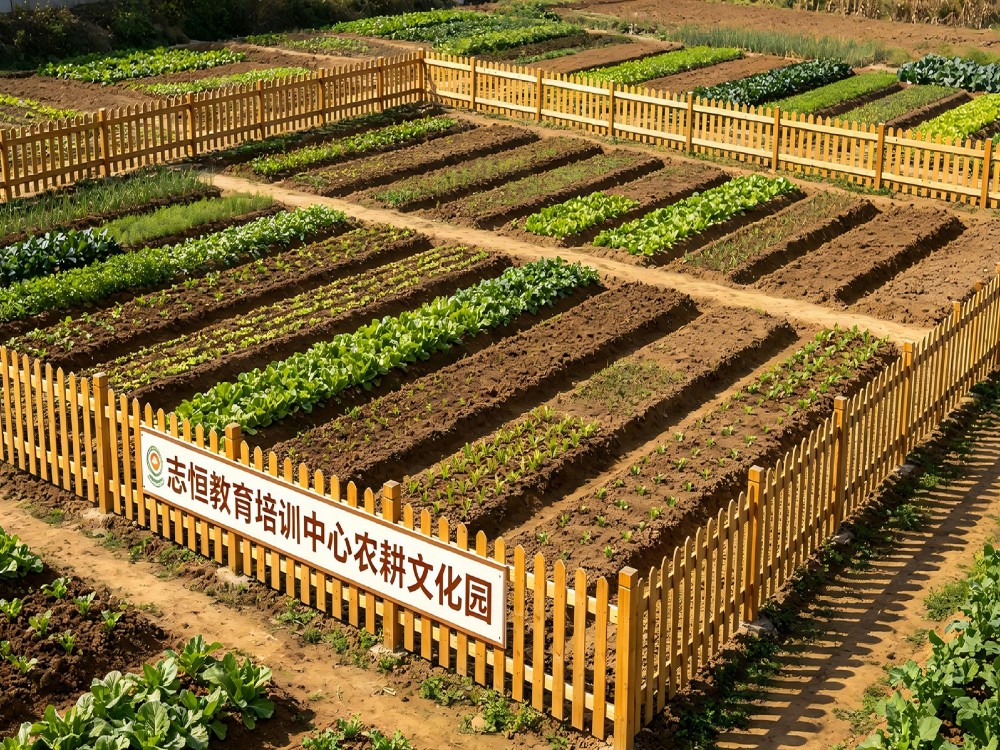 凉山知名的叛逆孩子改变学校哪家好?解析全封闭管教机构